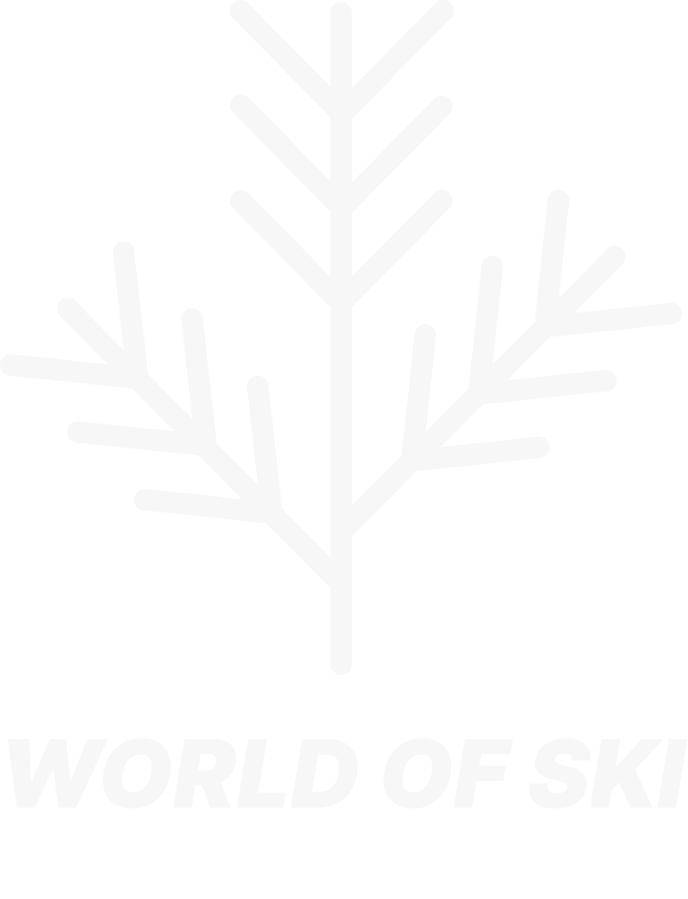 World of Ski - Indoor Ski Training with SkiErg